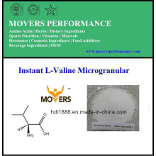 L-Valine microgranulaire instantanée / acide aminé DC grade